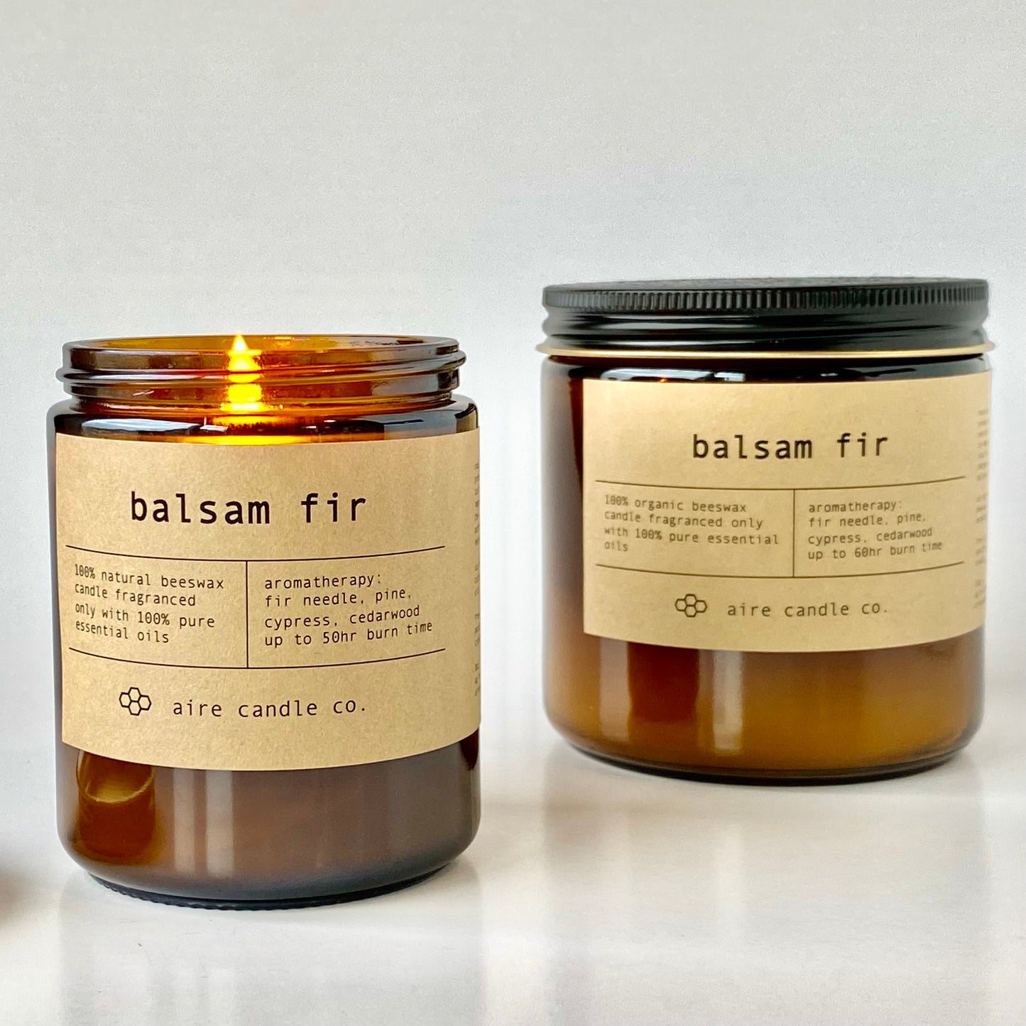 balsam fir