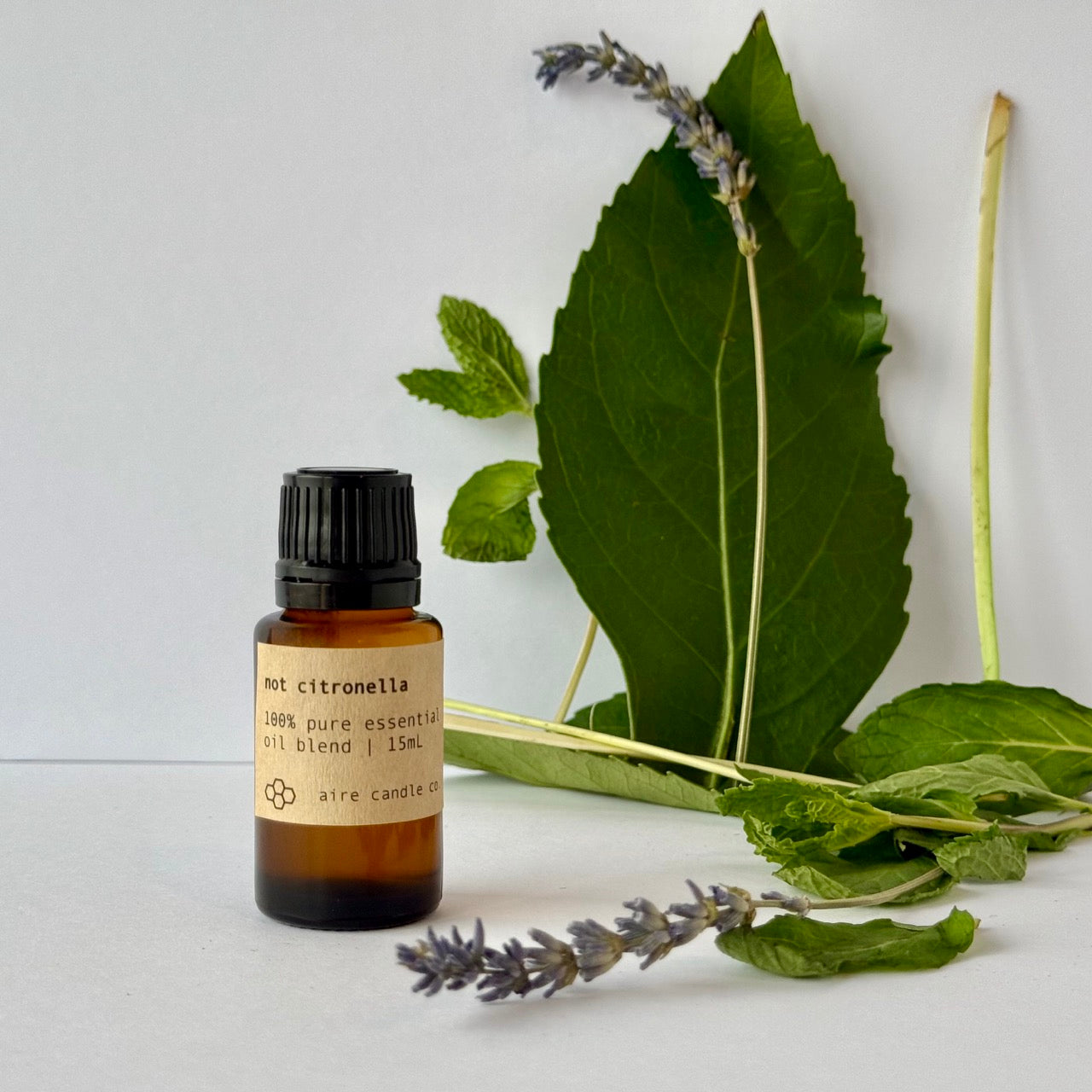not citronella essential oil
