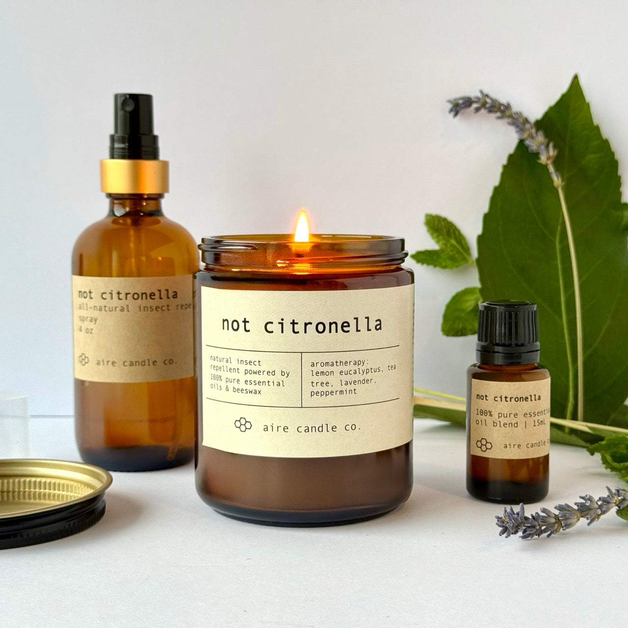 not citronella