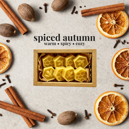 pumpkin pie wax melts