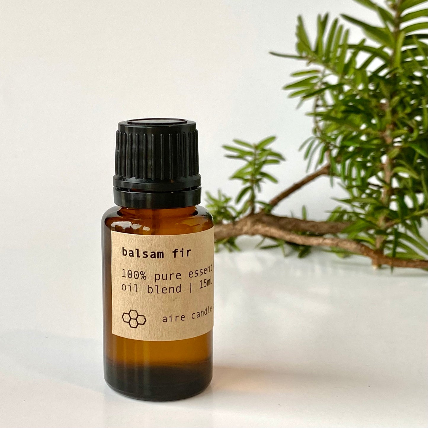 balsam fir essential oil
