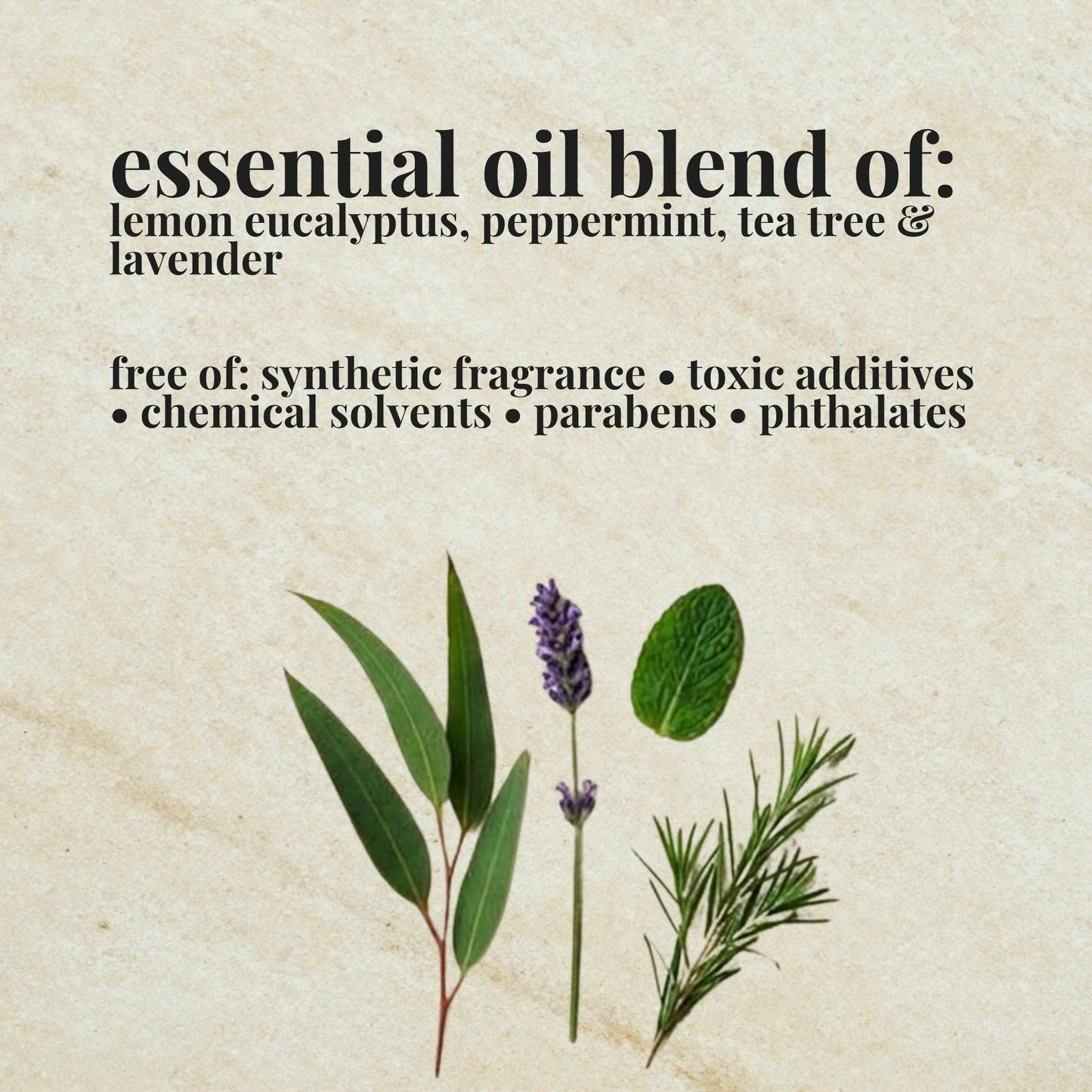 Aire Candle Co. Not Citronella Essential Oil Blend Ingredient List which includes Essential Oils of Lemon Eucalyptus, Peppermint, Tea Tree and Lavender.