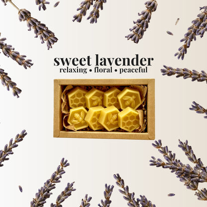 lavender wax melts